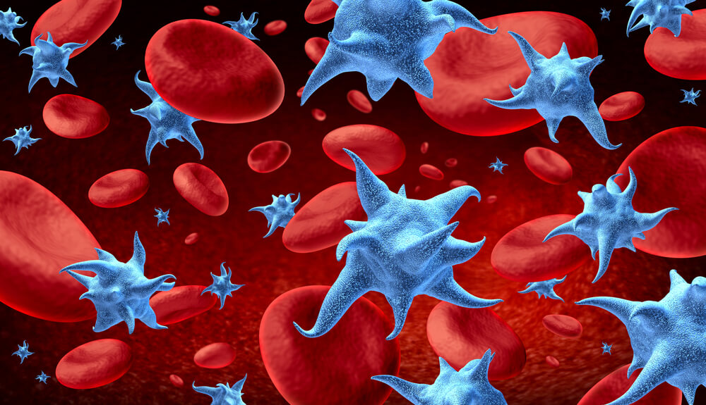 Graphic representation of platelets